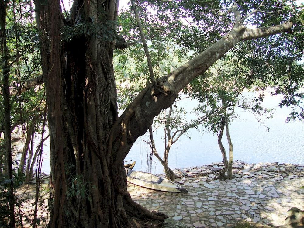 Khung cảnh mộc mạc, chân quê khác biệt với sự xô bồ của cuộc sống thường ngày